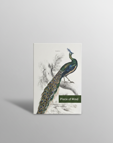 Puzzle Piece of Mind. 1000 elementów. A majestic male peafowl portrait. Ekologiczne puzzle premium