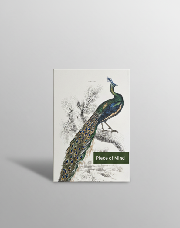 Puzzle Piece of Mind. 1000 elementów. A majestic male peafowl portrait. Ekologiczne puzzle premium