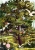 Puzzle Piece of Mind. 500 elementów. Tree. Ekologiczne puzzle premium