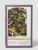Puzzle Piece of Mind. 500 elementów. Tree. Ekologiczne puzzle premium
