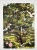 Puzzle Piece of Mind. 500 elementów. Tree. Ekologiczne puzzle premium