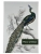 Puzzle Piece of Mind. 1000 elementów. A majestic male peafowl portrait. Ekologiczne puzzle premium