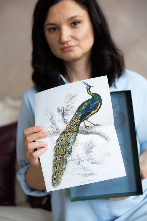 Puzzle Piece of Mind. 1000 elementów. A majestic male peafowl portrait. Ekologiczne puzzle premium